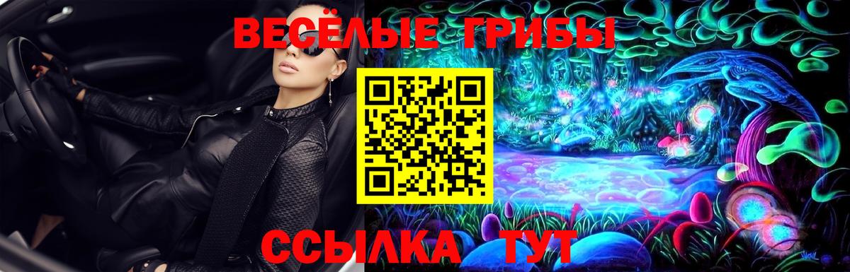 Псилоцибиновые грибы MAGIC MUSHROOMS Новоалександровск