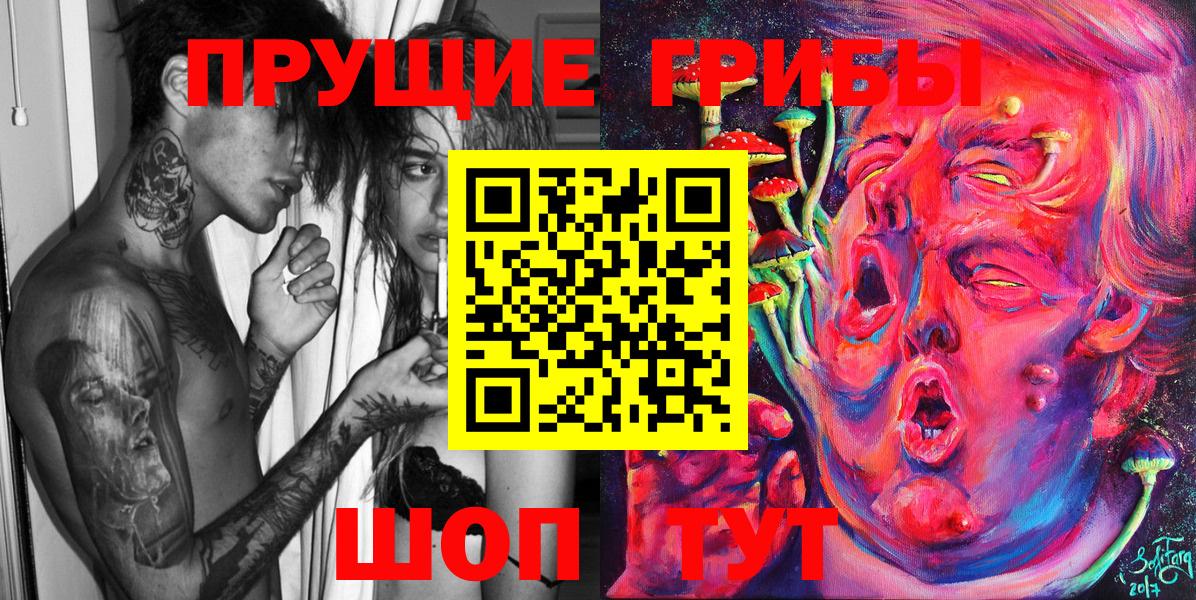 Псилоцибиновые грибы мухоморы  Вход с VPN  Псилоцибиновые грибы Psilocybe  Новоалександровск 